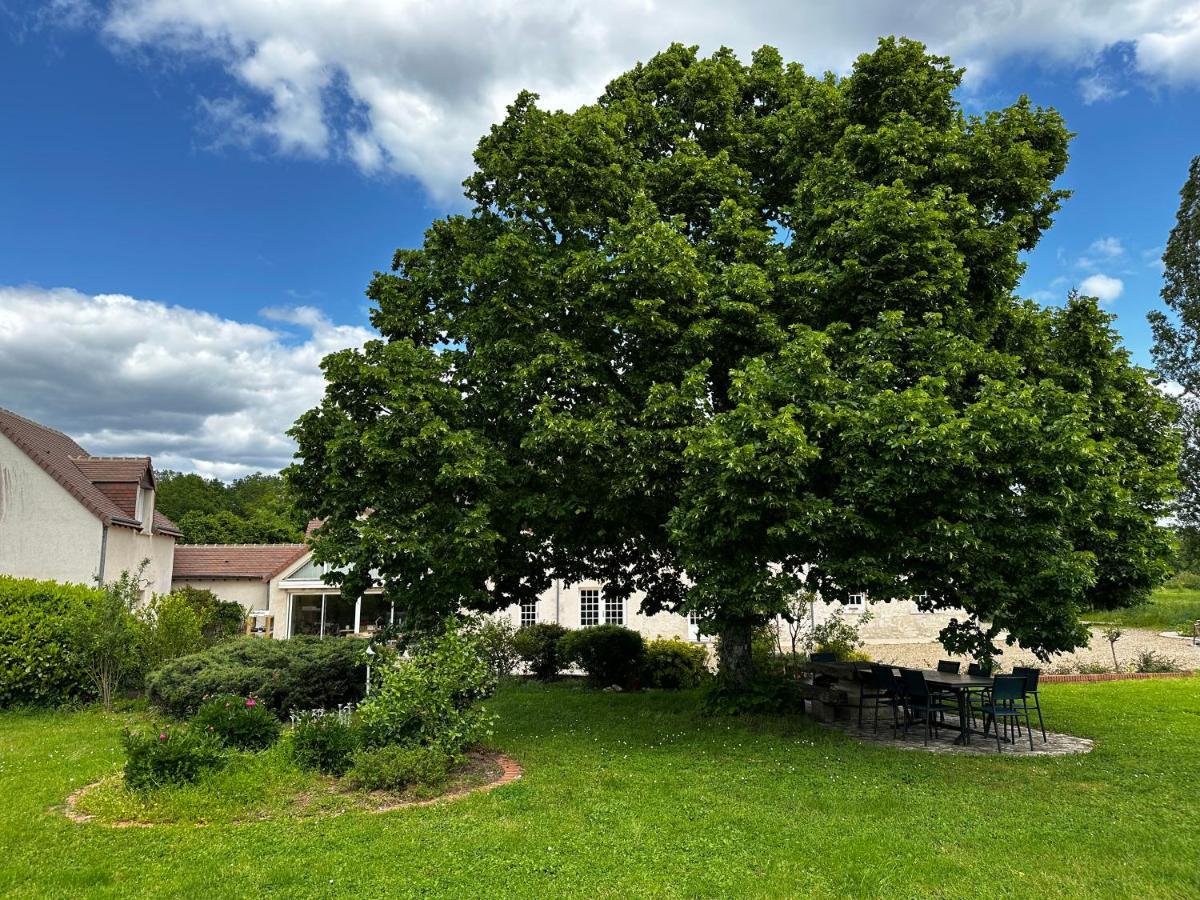 Domaine De Couilleuse Hotel Saint-Laurent-Nouan Екстериор снимка