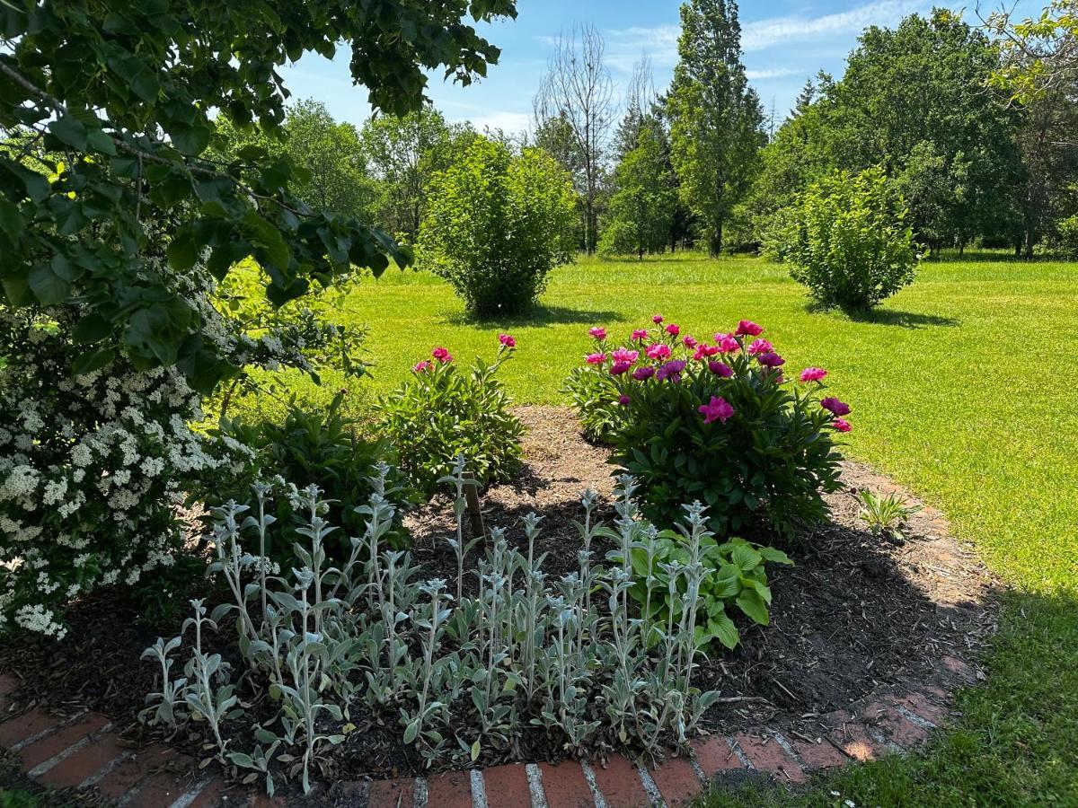 Domaine De Couilleuse Hotel Saint-Laurent-Nouan Екстериор снимка