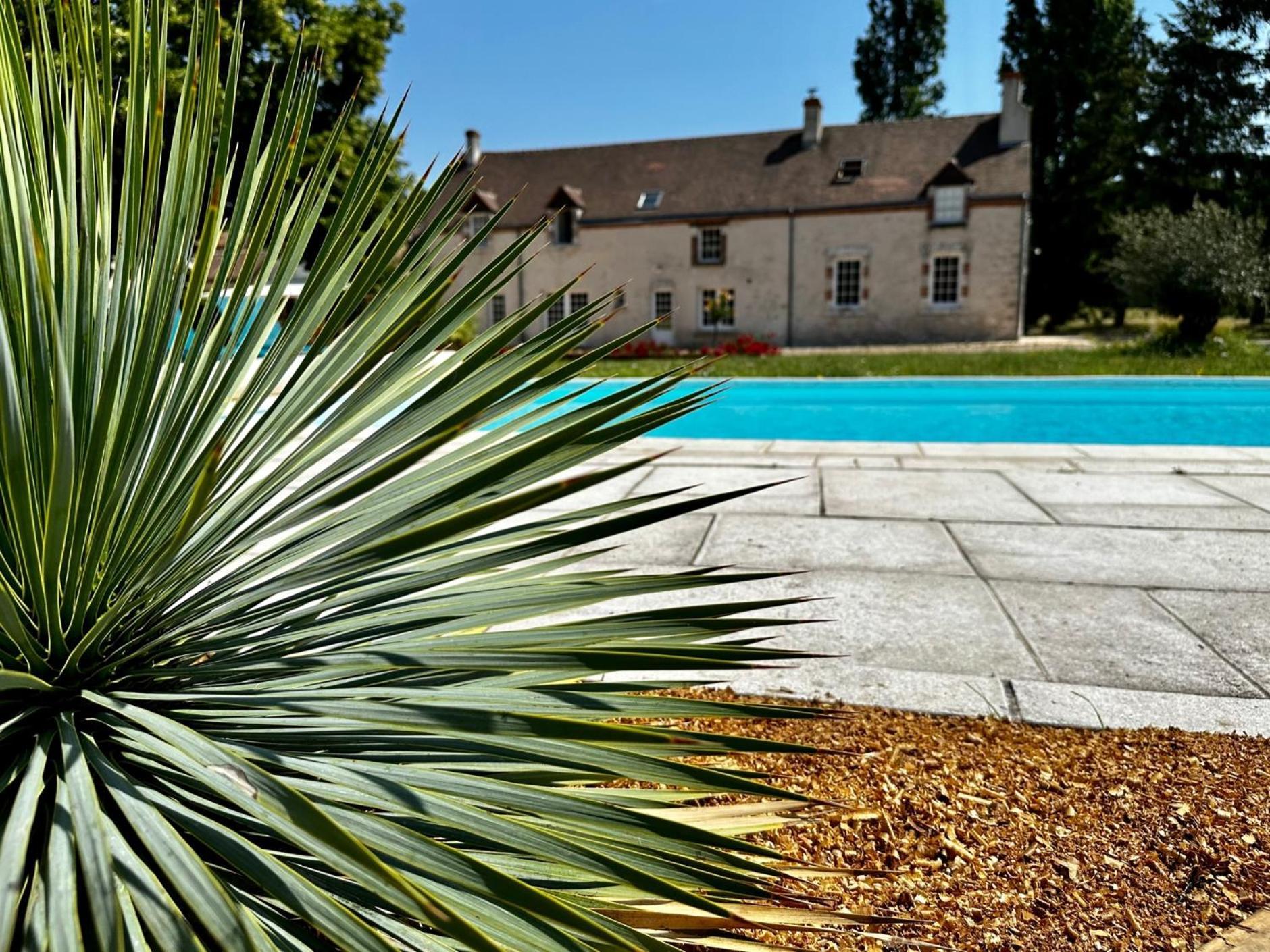 Domaine De Couilleuse Hotel Saint-Laurent-Nouan Екстериор снимка