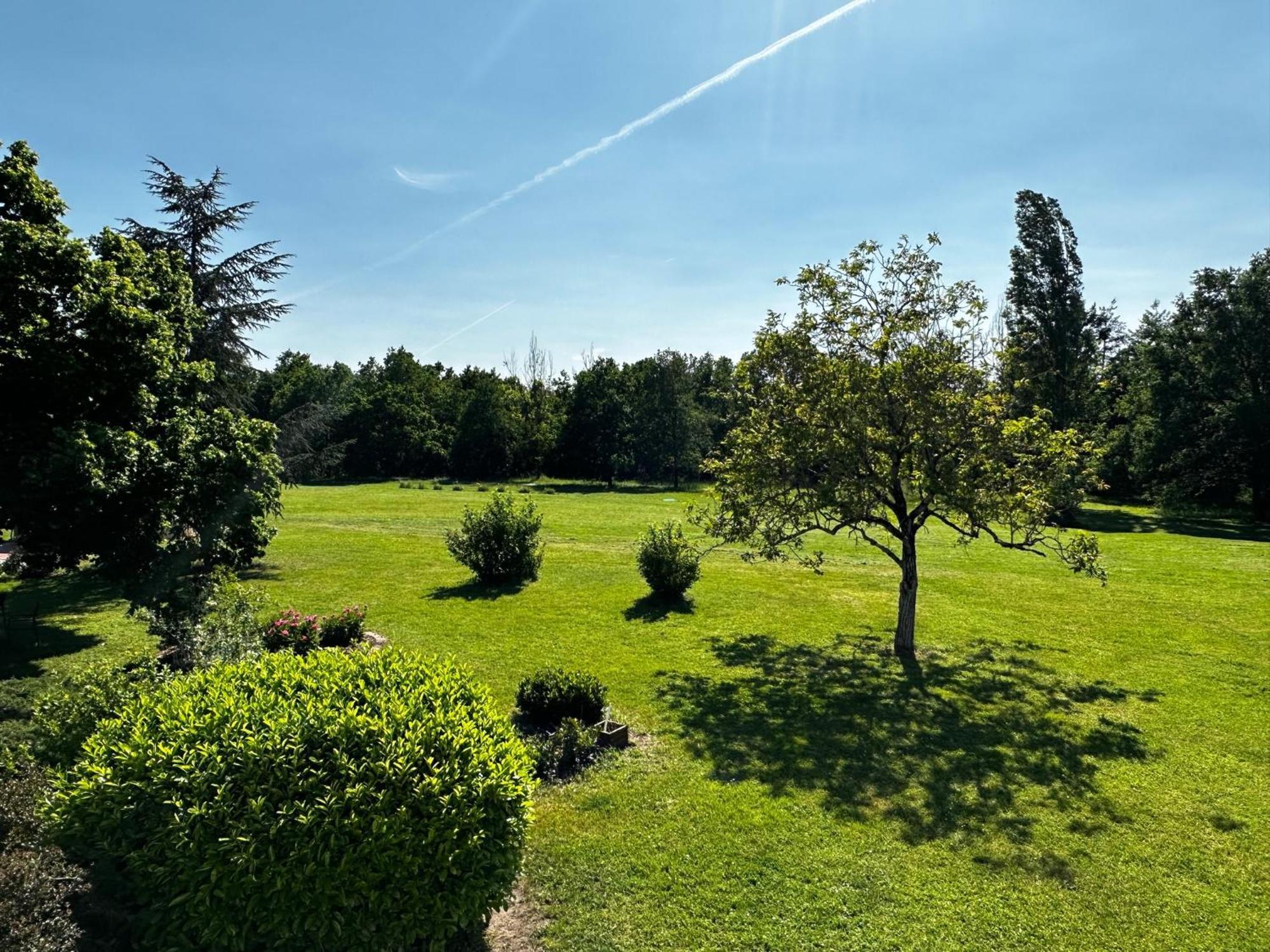 Domaine De Couilleuse Hotel Saint-Laurent-Nouan Екстериор снимка